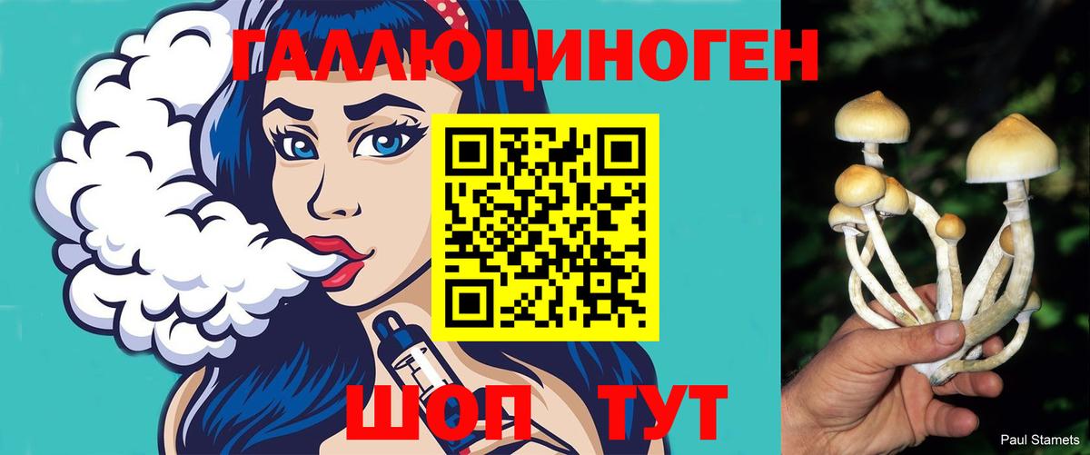 Псилоцибиновые грибы мухоморы Трёхгорный